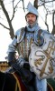 Reign Henri II : personnage de la srie 